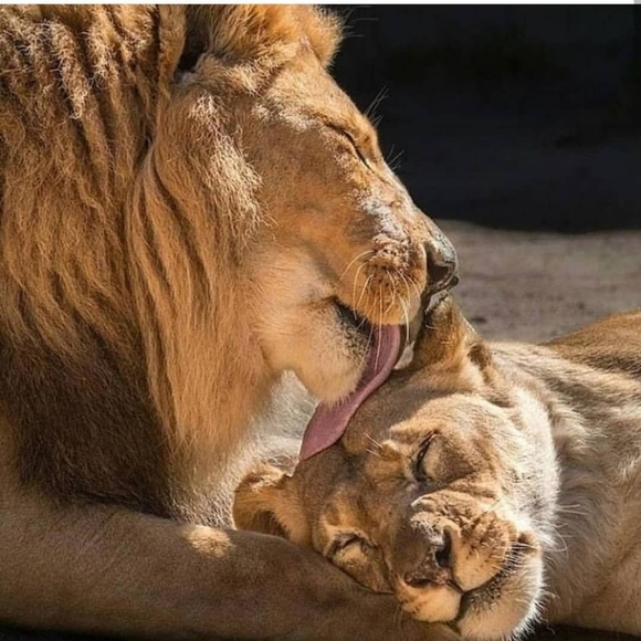 π(BiggestSalesOfTheYear/100% Customer Satisfaction) - Picture 2 of 7